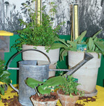 Dekoration gezielt einsetzen