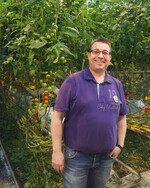 Erwin Theeuwen belichtet einen Teil seiner Tomaten.