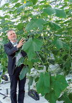 Prof. Dr. Andreas Ulbrich leitet die
Untersuchungen mit Gurken unter
Wärmeschutzglas: „Unser Ziel ist
eine neue Versuchsanlage, um in
kleinen Einheiten parallel unterschiedliche
Bedachungsmaterialien
zu testen.“
