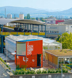 Titelthema: Gemüse aus der Stadt