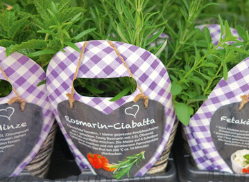 Eine der nachgefragten neuen Produktkreationen: Staudenkruter, attraktiv verpackt und mit Rezept 