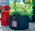 Mini-Garten kompakt in Taschengröße