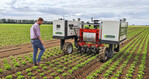 Die erste Testphase mit Robotti für Arbeitsgänge von der Aussaat bis zur Ernte läuft.