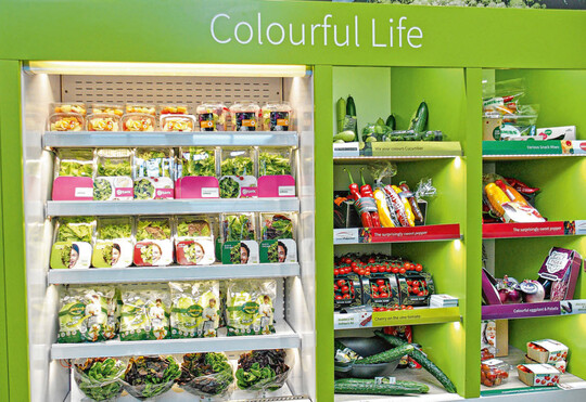 "Colourful Life  mehr Farbe im Gemse heit das aktuelle Motto bei Rijk Zwaan.
