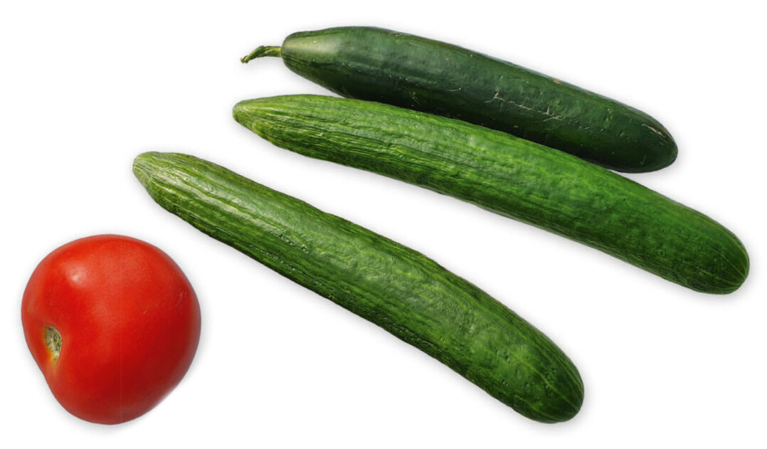 Gelöster Sauerstoff könnte eine Wirkung auf den Ertrag bei Tomaten und Gurken haben.