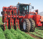 Dreireihige Karottenerntemaschine vorgestellt