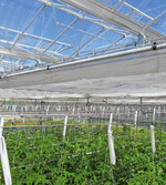 Titelthema: Transparente Energieschirme auch am Tag?