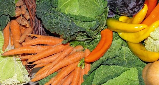 Gre und Standort beeinflussen den Betriebserfolg nicht