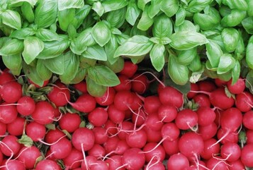 Die kleine Marktstudie: Bio-Gemse