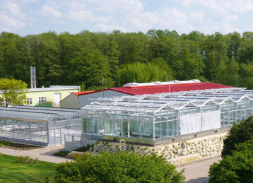 Blick auf das neue Grobeerener Grophytotron, bestehend aus dem Gaswechselgewchshaus
(rechts), Gefversuchsanlage (links) und Klimakammergebude,
das durch das Gaswechselgewchshaus verdeckt wird.