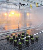 Der kleine Helikopter oben ist mit Kamera ausgestattet
und überwacht den Pflanzenbestand.