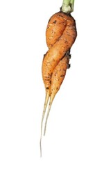 Eine geteilte und
in sich verschlungene Möhre –
lässt sie sich verkaufen?
