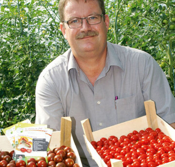 Zwei aus 200: Grtnermeister Ralf Schrder prsentiert
die beliebten Tomatensorten Cookie, F1, und Trilly, F1.