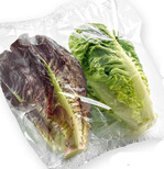 "Thimble’ bildet schnell
Gewicht und Umfang aus,
auch unter kühlen
Bedingungen (Nunhems).