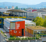 Das erste Gewächshaus der UrbanFarmers steht
auf einem Dach in Basel. Neben Gemüse ist Fisch für die
Gärtner ein zusätzliches Einkommen.