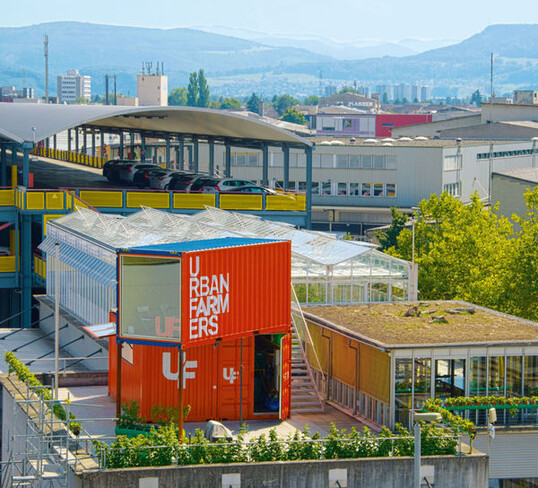 Das erste Gewchshaus der UrbanFarmers steht
auf einem Dach in Basel. Neben Gemse ist Fisch fr die
Grtner ein zustzliches Einkommen.
