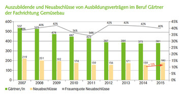 Auszubildende und Neuabschl�sse von Ausbildungsvertr�gen im Beruf G�rtner der Fachrichtung Gem�sebau