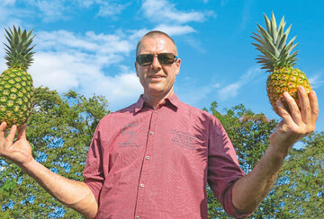 Christian Ufen, Vorsitzender der Bundesfachgruppe Gem�sebau, mit vollreifen Ananas-Fr�chten auf der letzten Studienreise in Panama; er feierte jetzt seinen 50. Geburtstag.