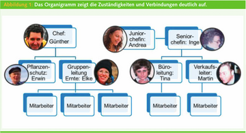 Das Organigramm zeigt die Zustndigkeiten und Verbindungen deutlich auf.