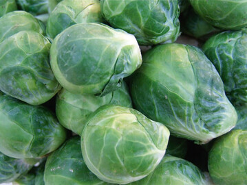 Rosenkohl