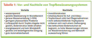 Vor- und Nachteile von Tropfbewsserungssystemen