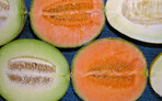 Melonen