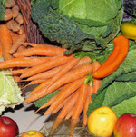 Größe und Standort beeinflussen den Erfolg nicht