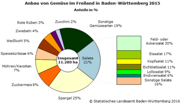 Anbau von Gemse im Freiland in Baden-Wrttemberg im Jahr 2015