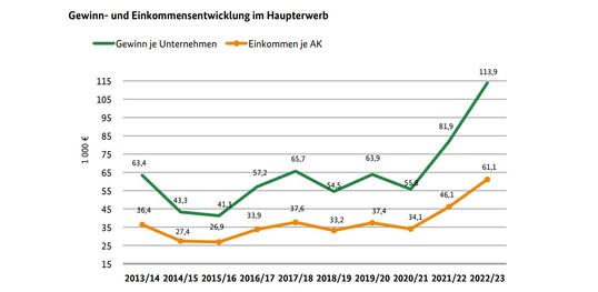 Die Gewinn- und Einkommensentwicklung im Haupterwerb.
