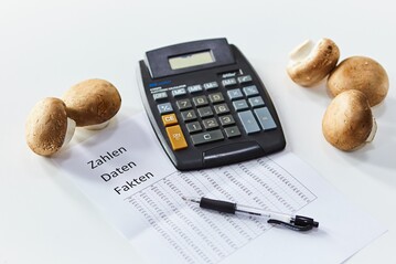 Die Zahlen beweisen es, braune Champignons sind auf dem Vormarsch.