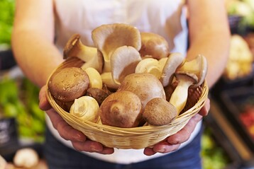 Jahrhundertlange Erfahrung steckt hinter dem ganzjhrigen Angebot appetitlicher Kulturpilze. 