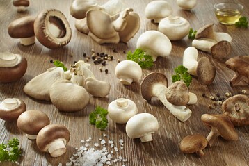 Lecker sind alle, aber jeder Kulturpilz hat seinen eigenen Geschmack. Da heit es ausprobieren, sobald man Neues auf dem Markt entdeckt.
