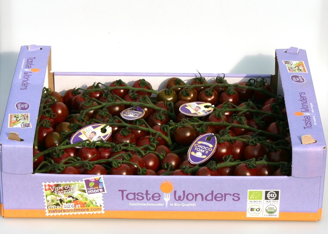 Die neue Tomatensorte "Choco Tom" mit ihrer charakteristischen Frbung