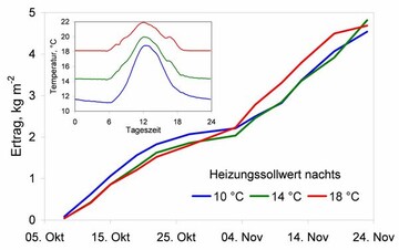 Ertrags- und Temperaturverlauf beim Gurkenanbau im Jahr 2009