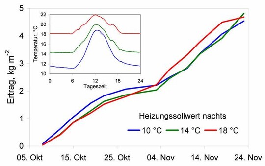 Ertrags- und Temperaturverlauf beim Gurkenanbau im Jahr 2009