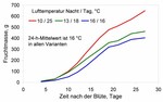 Fruchtwachstum der Gurke bei unterschiedlichen täglichen Temperaturverläufen