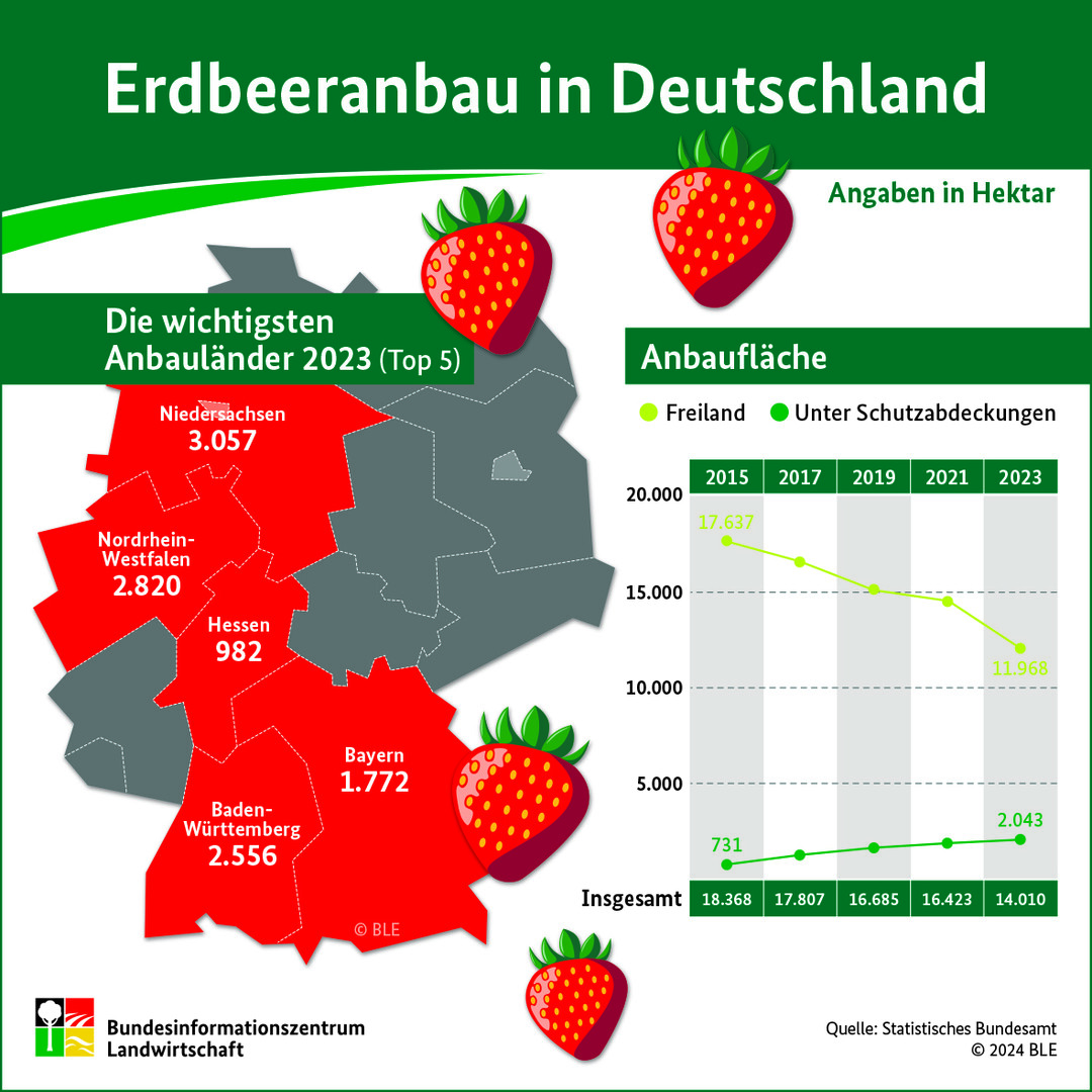 Erdbeeranbau in Deutschland.<br>