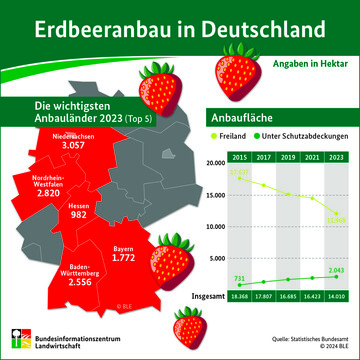 Erdbeeranbau in Deutschland.<br>