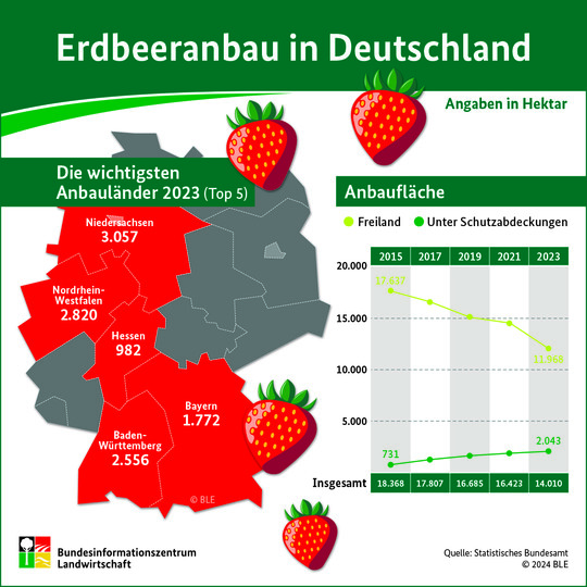 Erdbeeranbau in Deutschland.<br>