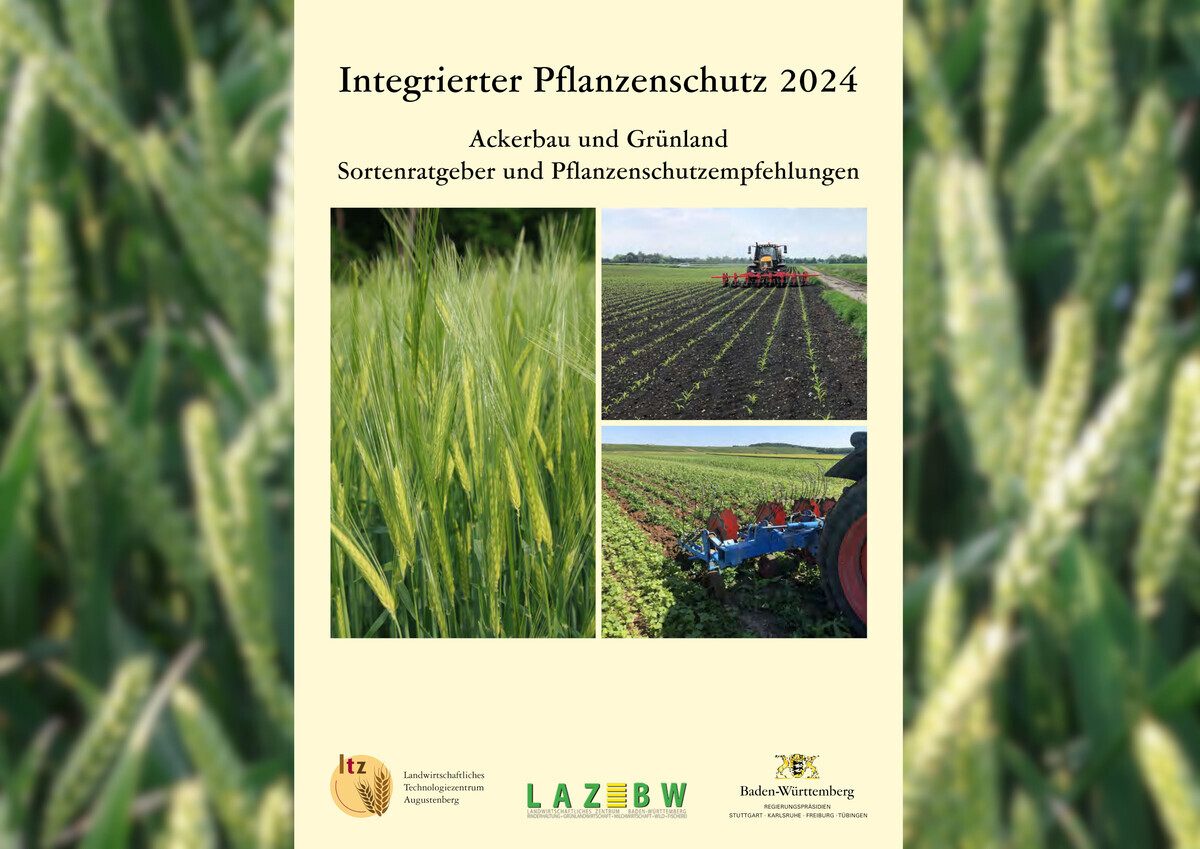 Merkblatt Integrierter Pflanzenschutz 2024 - GEMÜSE ONLINE