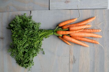 Bei 80 % der Deutschen* kommt das beliebte Wurzelgemse oft und gern auf den Teller. 2019 haben sie rund 9,5 Kilo davon verspeist.* Gut also, dass hierzulande noch bis in den November Mhren geerntet werden. (Quelle: AMI; Destatis)