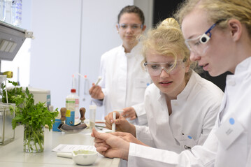 Ende Mrz haben deutschlandweit Schlerinnen der 5. Klassen die Mglichkeit, in Berufe aus Technik, Handwerk, IT und Naturwissenschaften reinzuschnuppern. 