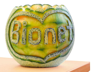 In sterreich
sind die
Beteiligten im
Bio-Obst- und
Gemsebau
durch das Projekt
Bionet
vernetzt.