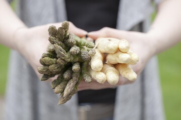 Freilandspargel aus regionalem Anbau im Westen ist ab sofort auch im Handel erhltlich. <br>