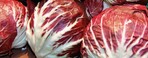 Radicchio