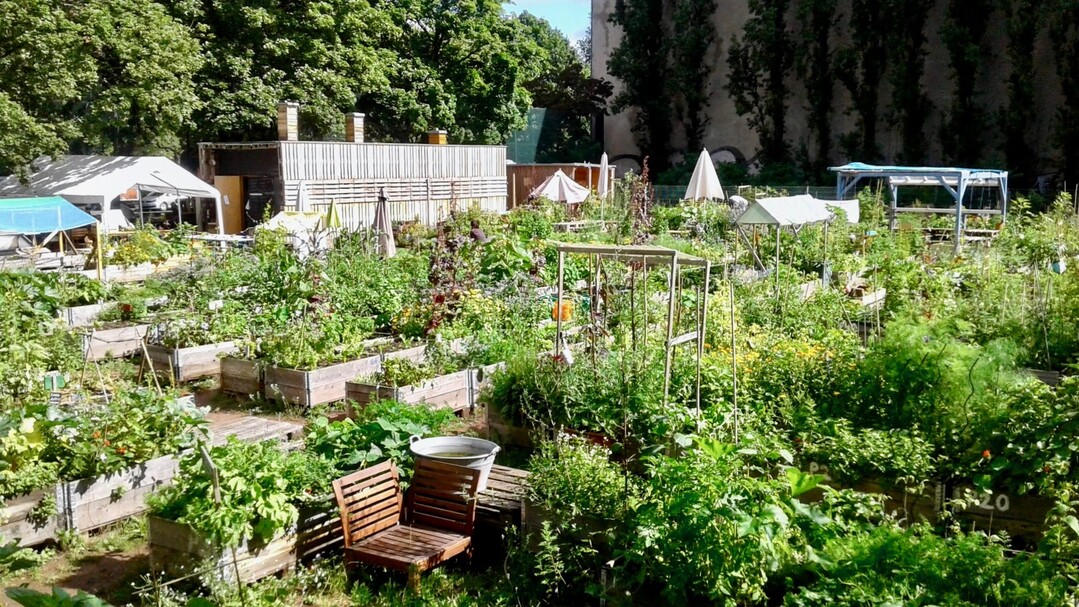 Der Gemeinschaftsgarten Himmelbeet im Berliner Stadtteil Wedding.