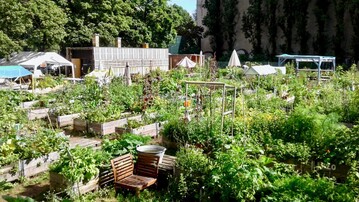 Der Gemeinschaftsgarten Himmelbeet im Berliner Stadtteil Wedding.