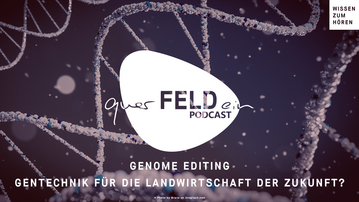 In der neuen querFELDein-Podcastfolge dreht sich alles um das Genome Editing.