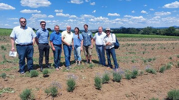 Das Projektteam AlbLavendel auf dem Versuchsfeld bei Bad Boll (von links): Benjamin Ewert, Stephan Baz, Thomas Stegmaier, Jamal Sarsour (alle DITF), Carolin Weiler (Universitt Hohenheim); Peter Schmich, Ralf Kunert, Matthias Adam (alle naturamus).