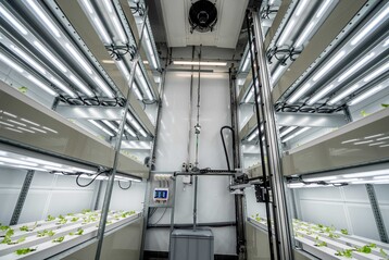 Ein Sensorsystem fhrt ber die verschiedenen Regalebenen der Anzuchtkammer, um das Wachstum der Salatpflanzen zu analysieren. So knnen der Licht- und Nhrstoffbedarf optimal angepasst werden.